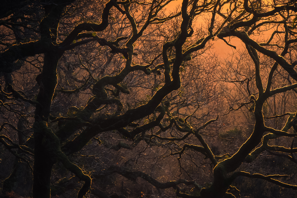 0e1a0018 edit edit copy