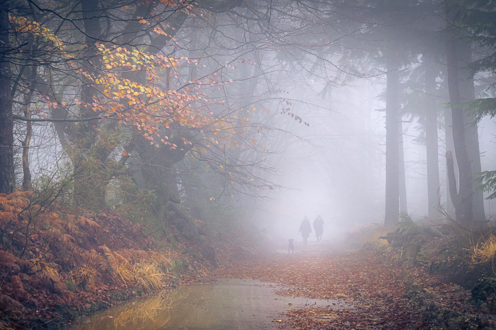 0e1a0211 edit 3 copy