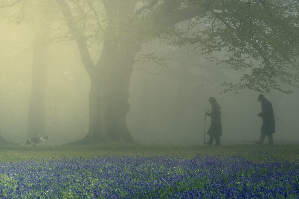 0e1a0574 edit edit edit edit edit