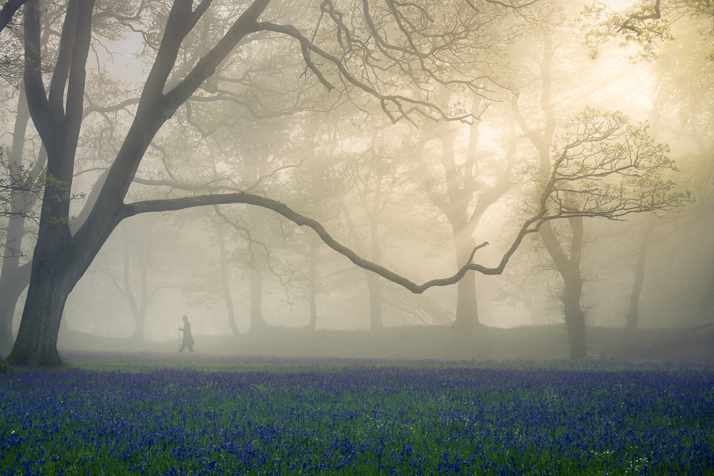 0e1a0574 edit edit copy