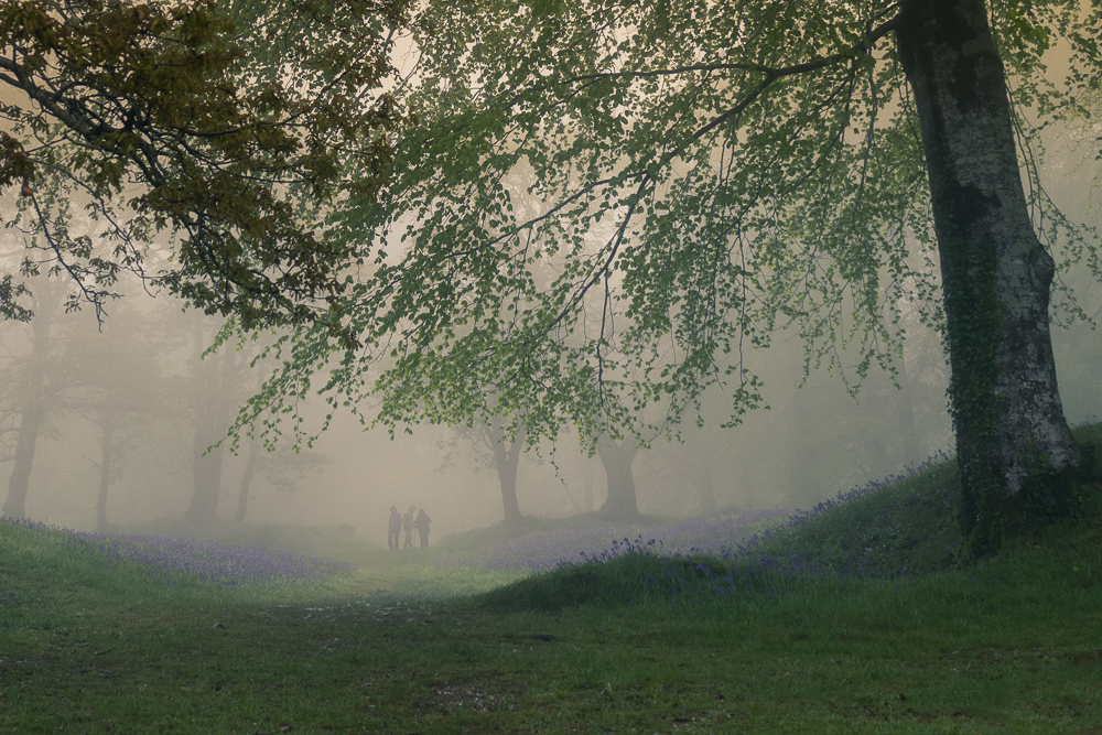 0e1a0652 edit edit copy