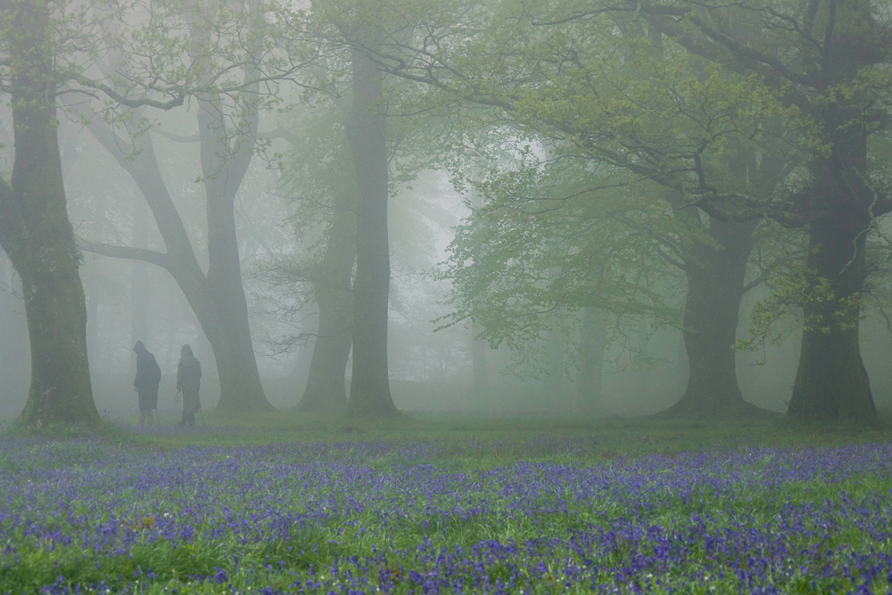 0e1a0721 edit copy 2