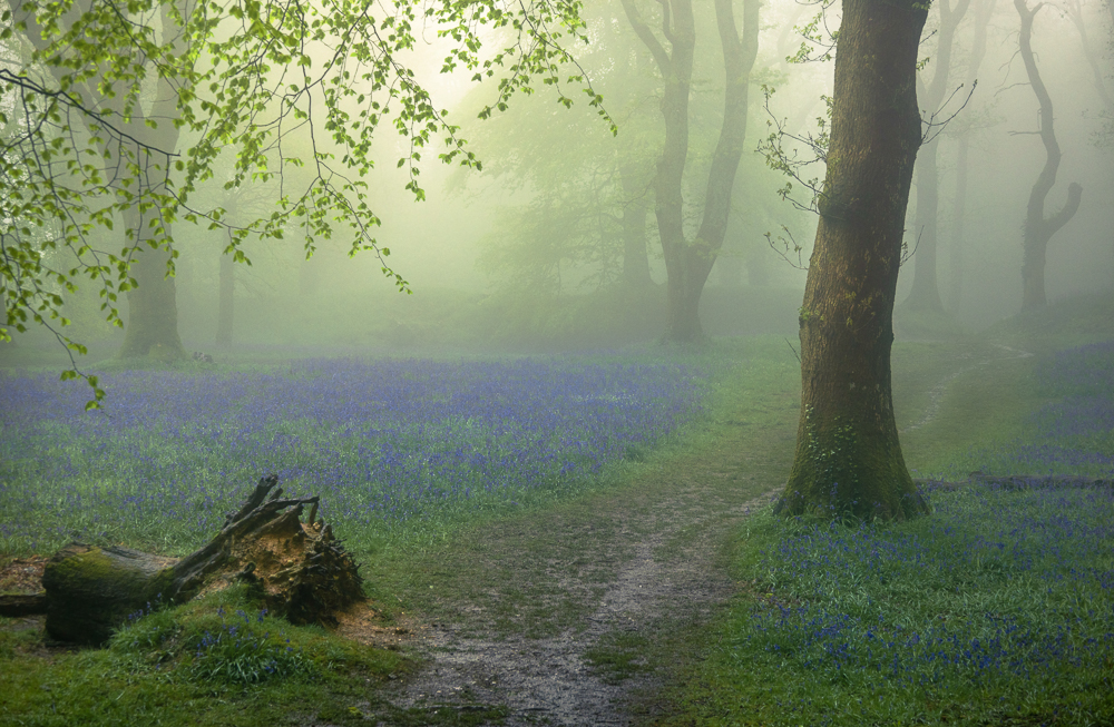 0e1a0773 edit edit edit