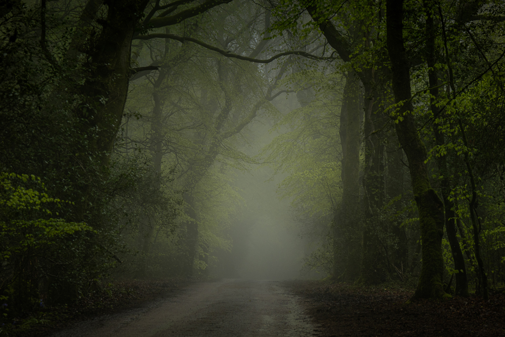 0e1a0822 edit edit copy