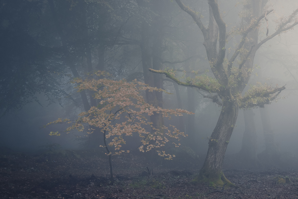 0e1a0850 edit edit copy