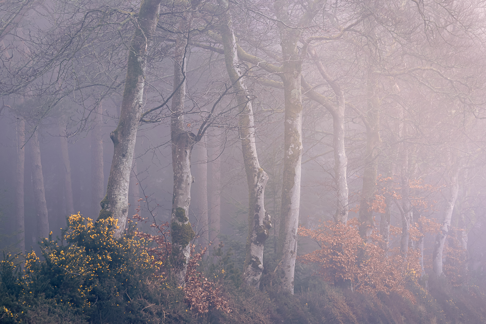 april bronze (3) copy