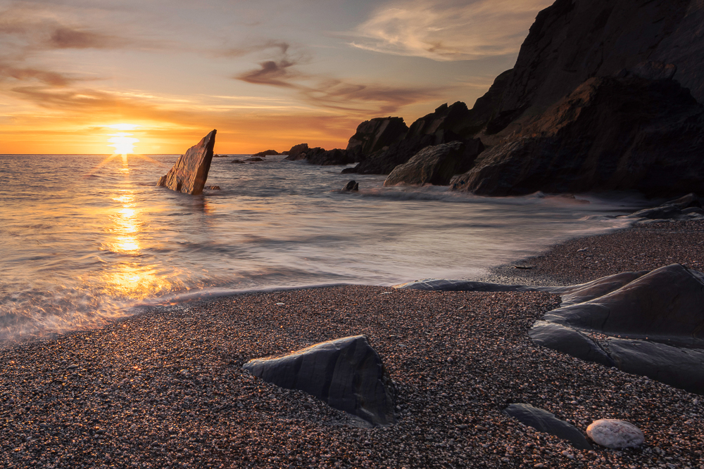 arymer cove12copy copy