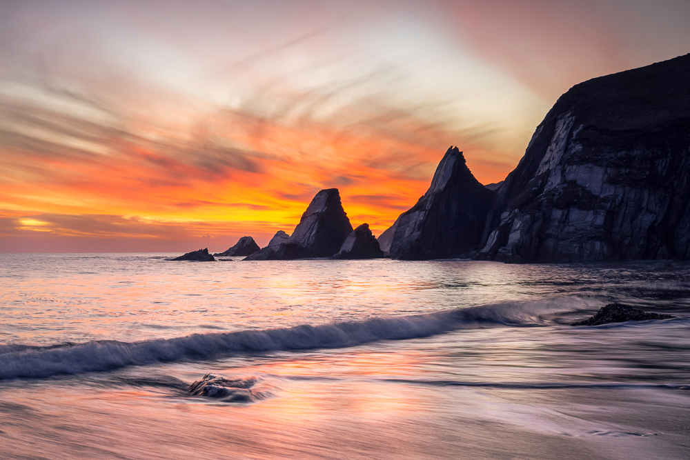 august bronze (1) copy