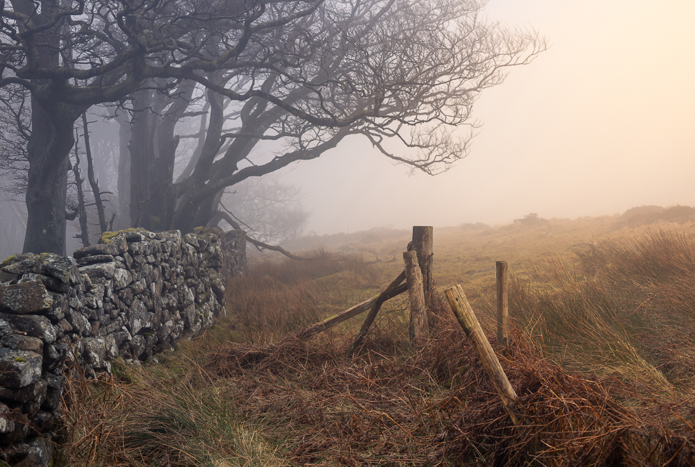 febuary bronze (1) copy