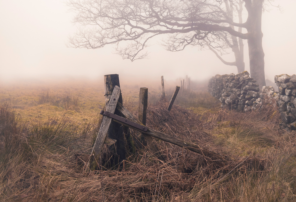 febuary bronze (2) copy