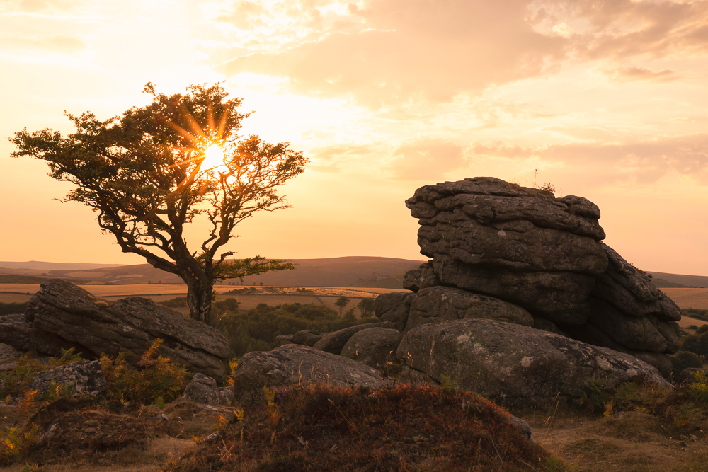 guardians of the moors