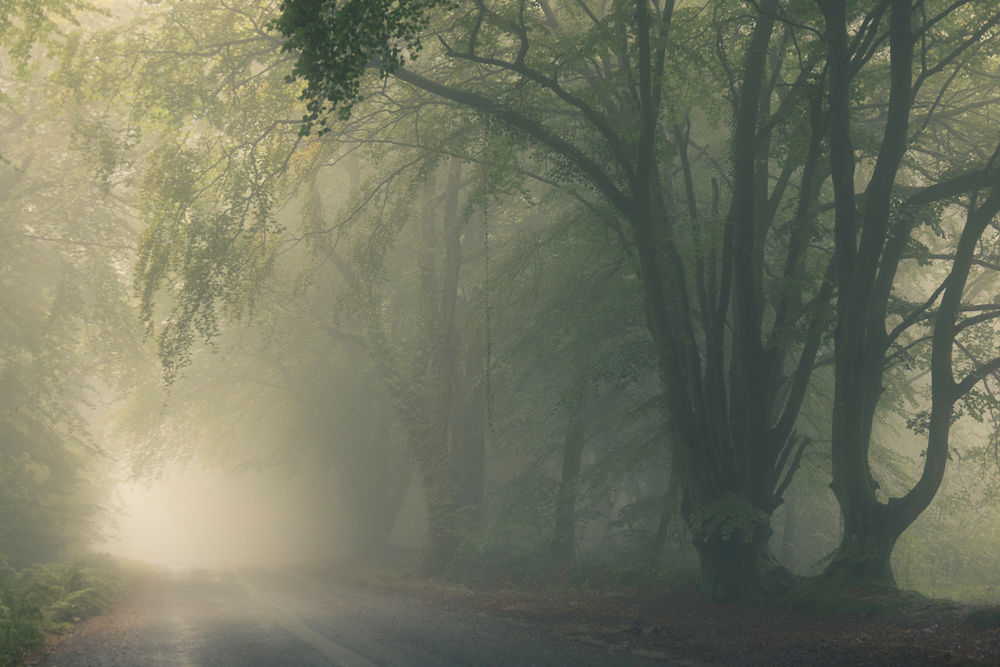 january silver (1) copy