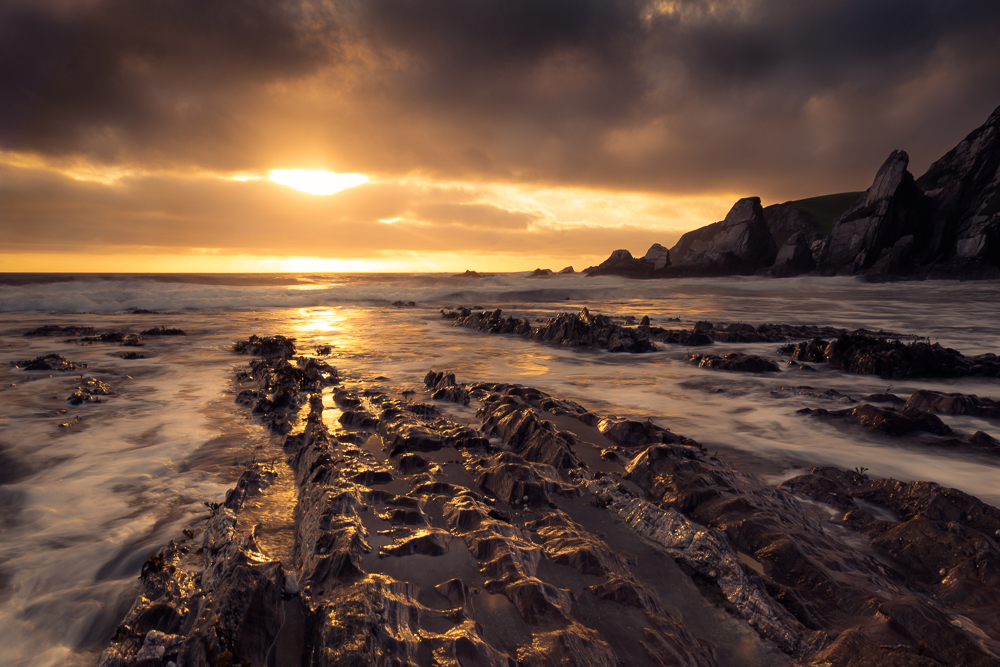 march bronze (3) copy