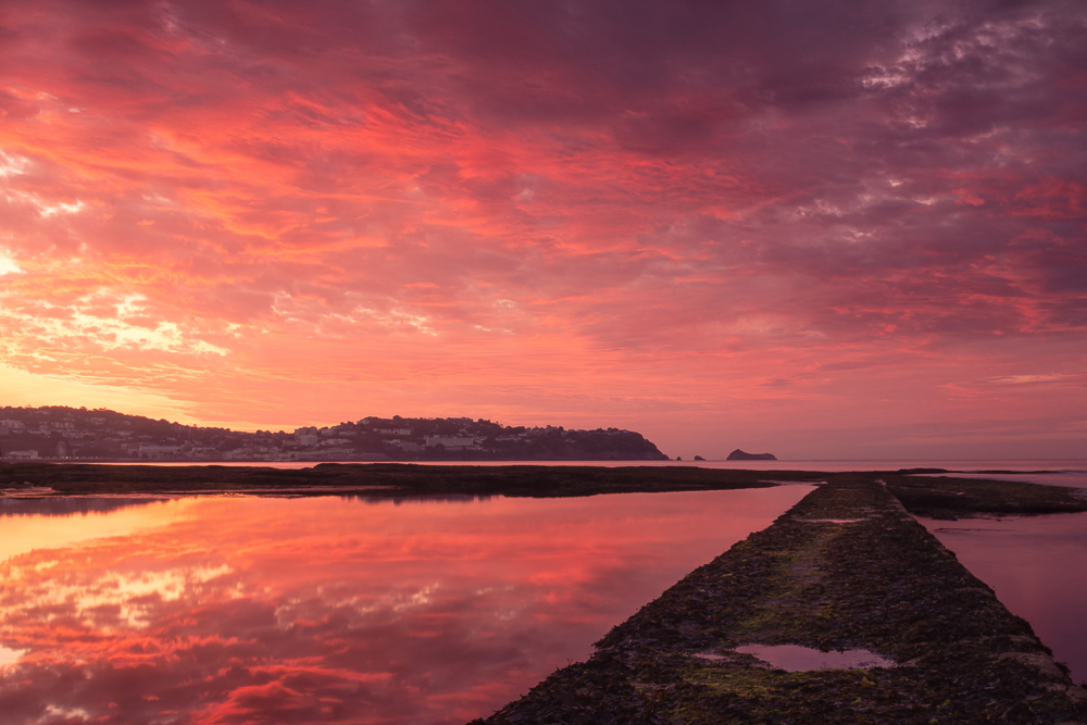 pink sky reflections
